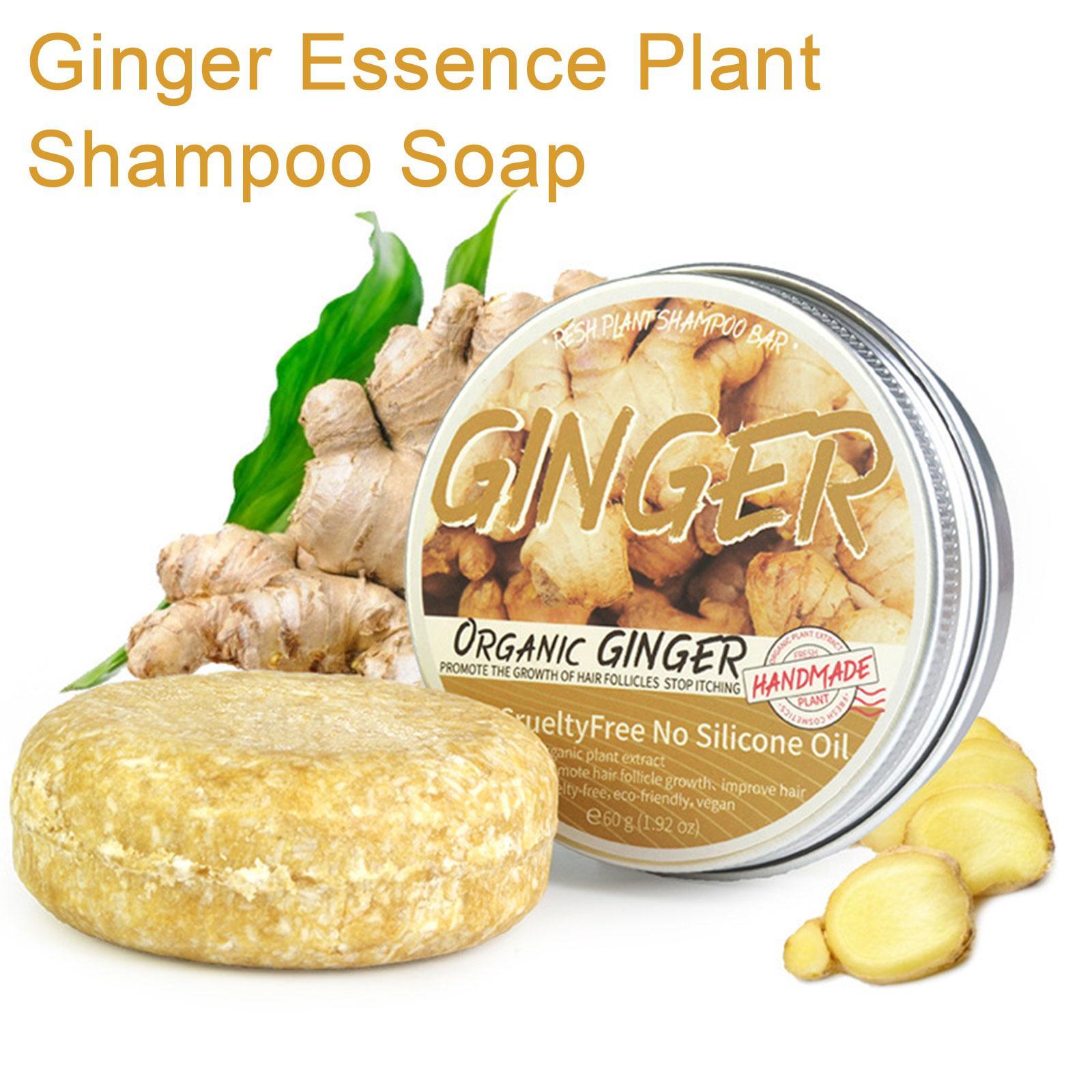 진저 폴리고눔 비누 샴푸, 차가운 가공 비누 헤어 샴푸 - Hair Care Organic 리뷰 및 가격