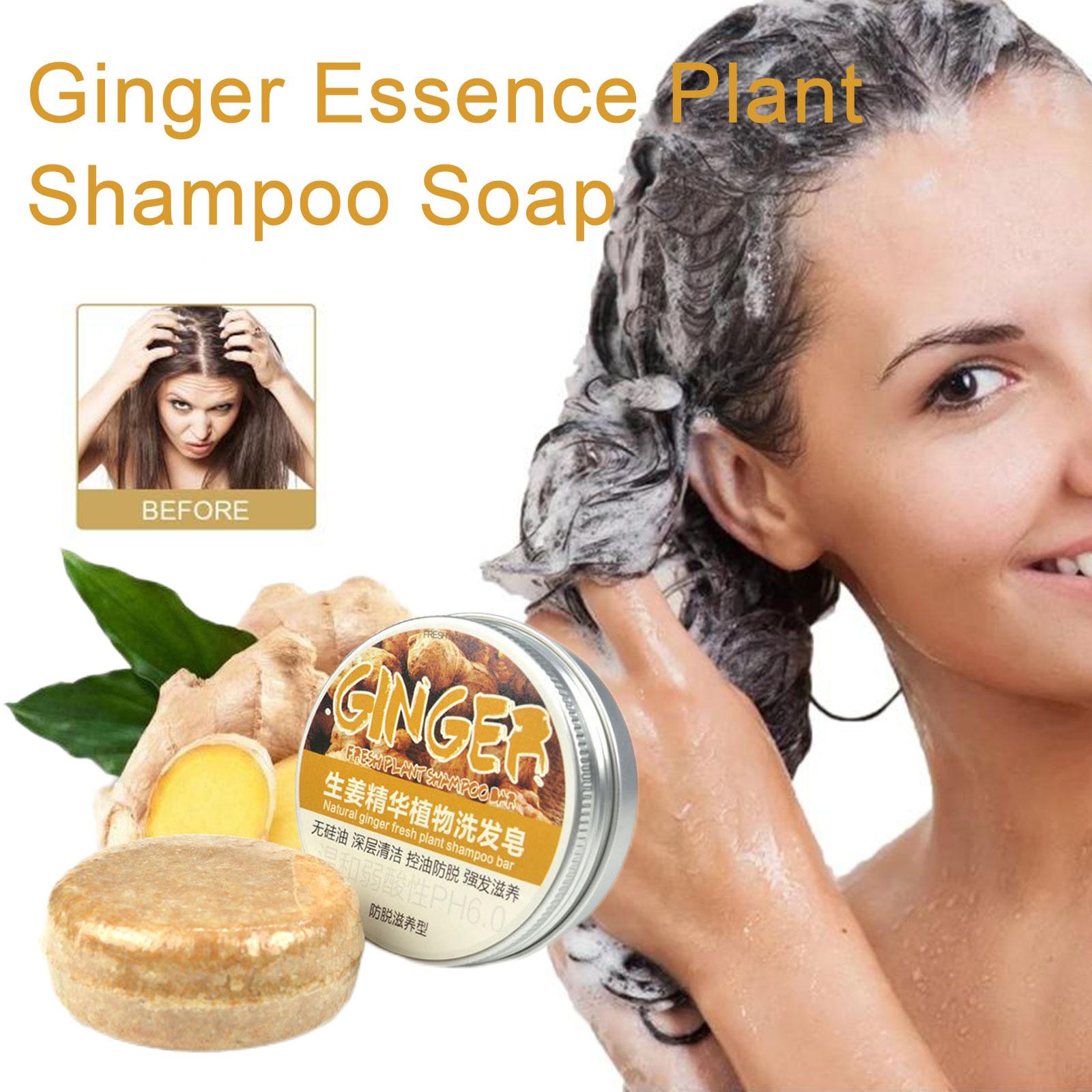 진저 폴리고눔 비누 샴푸, 차가운 가공 비누 헤어 샴푸 - Hair Care Organic 리뷰 및 가격